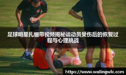 星空·综合体育官方网站